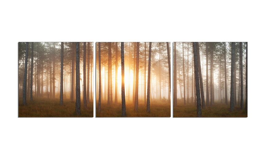 Wood-Mounted Triptych Prints | Groupon Goods