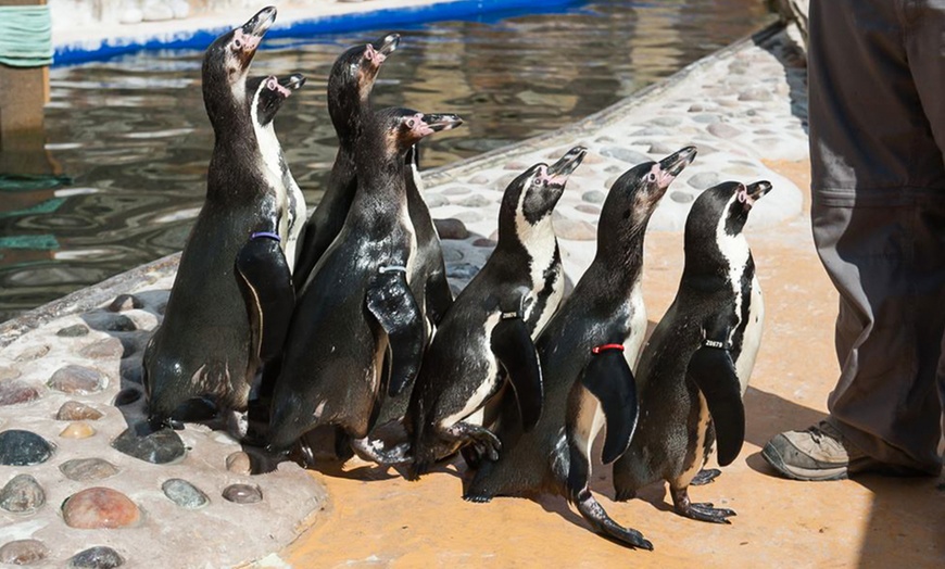 Image 5: Family Aquarium Pass