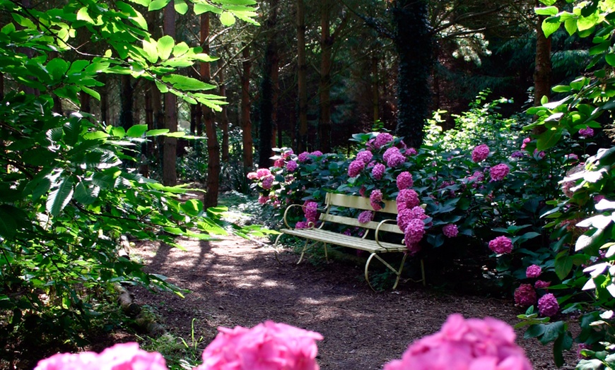 Image 7: Priory Maze and Gardens Entry