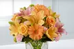 US$20 for US$40 Worth of Mother’s Day Flowers and Gifts from FTD - Second Medium