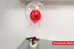 Sag es mit Liebe: Romantische Geschenkideen - XXL-Ballons, Blumenboxen & exklusive Liebespakete (bis 38% sparen) - Second Medium
