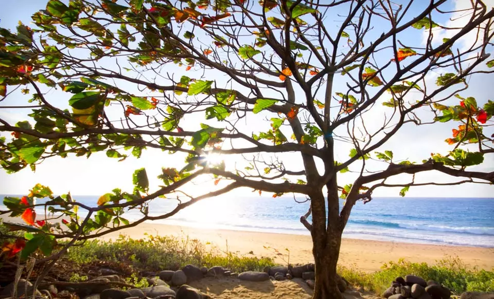 3-Night Stay at Kauai Sands Hotel in Kapaa, Hawaii - Second Medium