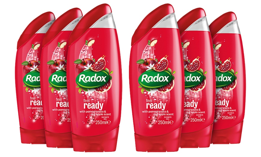 Image 9: Radox Shower Gels 250ml