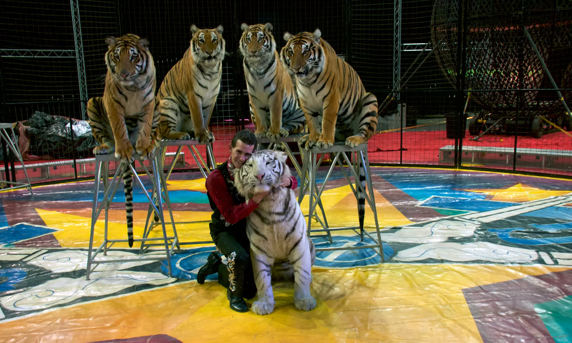 Carden Super Spectacular Circus on Friday, October 18, at 4:30 p.m. or 7:30 p.m.  - Primary Image