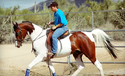 Two or Four Horseback-Riding Lessons at Pirate Performance Horses (51% Off) - Primary Image