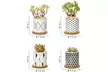 Lot de 3 pots de fleurs en céramique pour succulentes, modèle au choix - Image 5