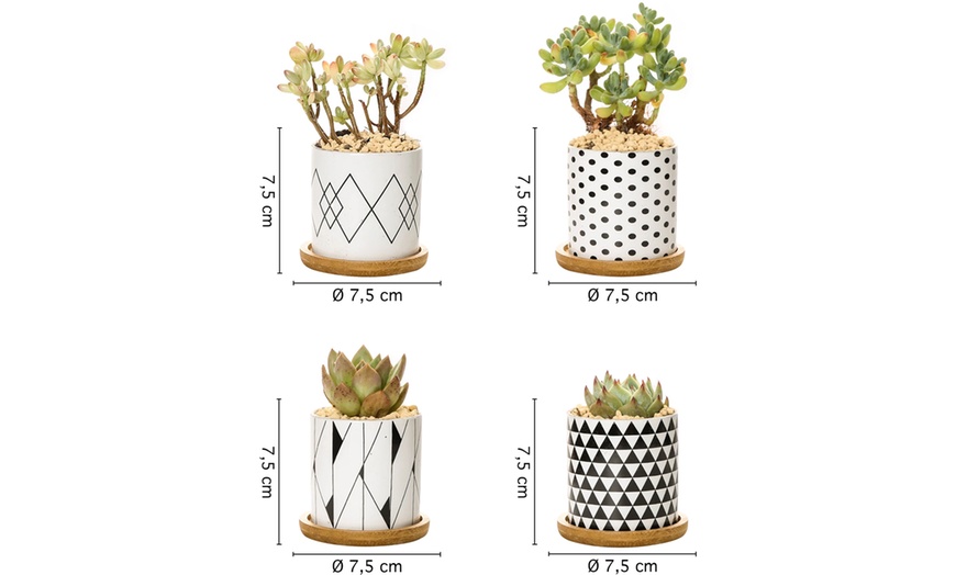 Image 5: Lot de 3 pots de fleurs en céramique pour succulentes