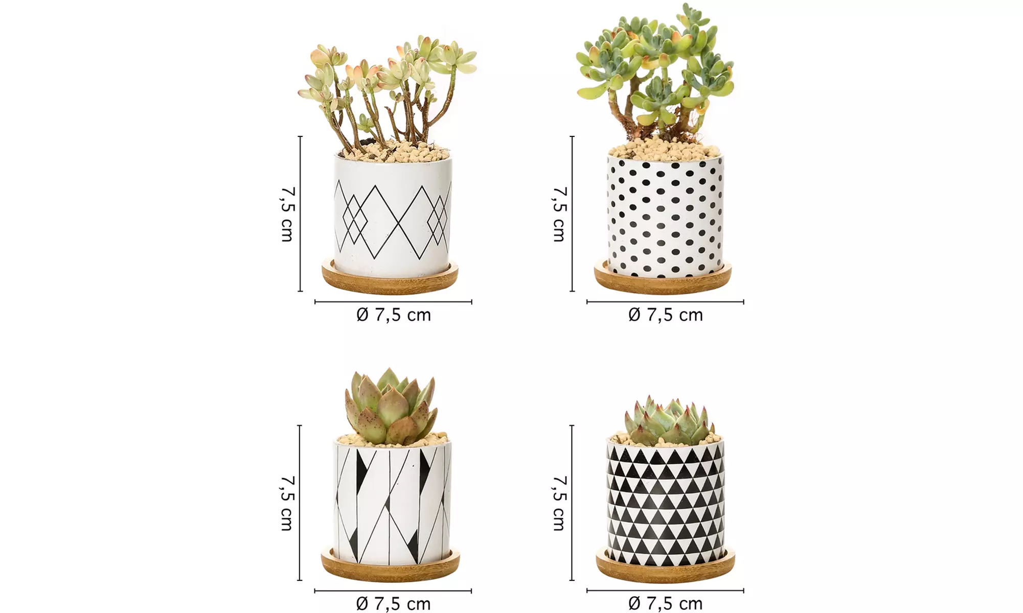 Lot de 3 pots de fleurs en céramique pour succulentes