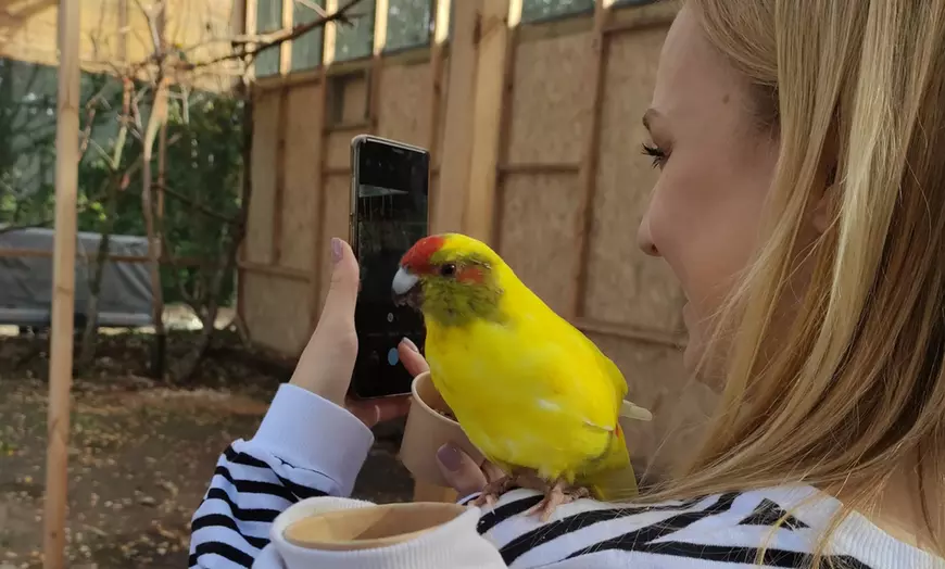 Image 2: Bilety do Papugarni Arka Noego z możliwością karmienia ptaków
