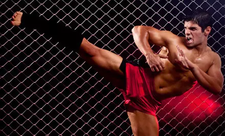 10 Classes or One Month of Unlimited Classes at Wachals' Martial Arts Academy (81% Off) - Primary Image
