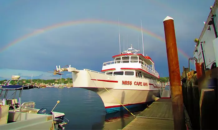 Whale-Watching Excursion for One or Two from Capt. Bill and Sons Whale Watch (Up to 49% Off) - Second Medium