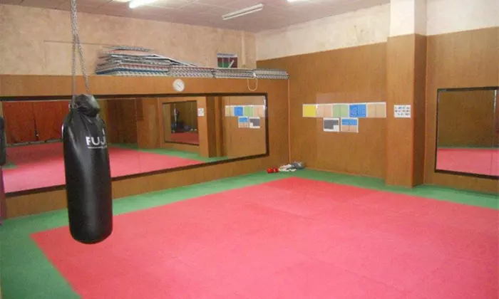 Clases de artes marciales a elegir