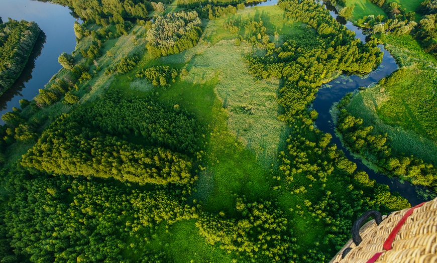 Image 4: Wild Pig Hot Air Balloon Flight with Champagne