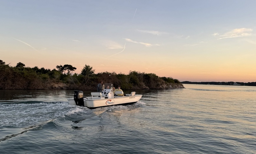 Image 4: Private Sunset & Wildlife Cruises in Ocean City