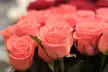 Premium Farm Fresh Roses from It's By U (Up to 42% Off) - Image 2