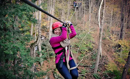 Zip-line Canopy Adventure Tour for Two, Four, Six, or Eight from ArborTrek Canopy Adventures (Up to 45% Off) - Primary Image