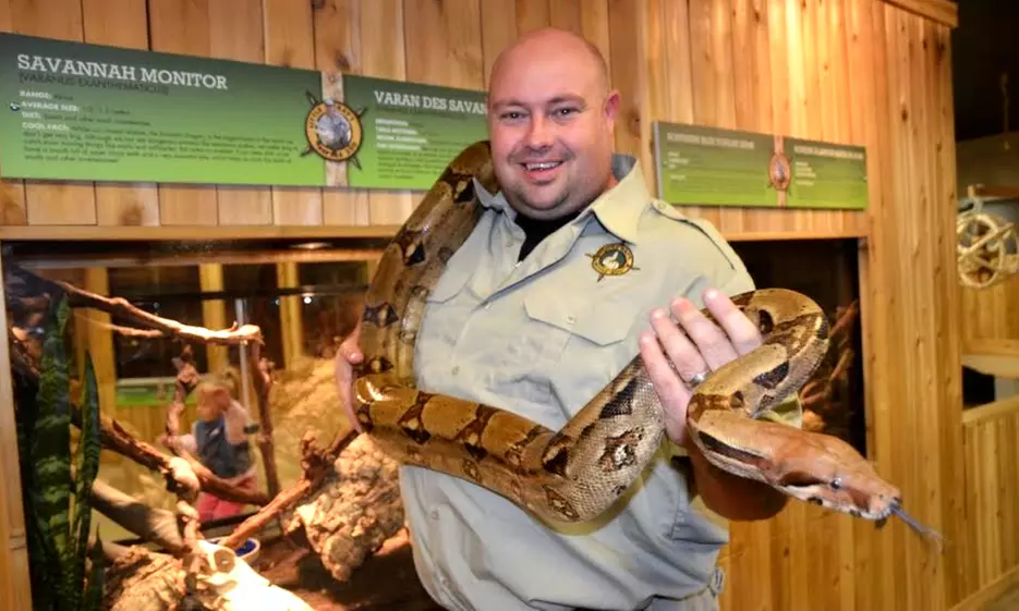 Admission for Two or Family of Four, or Birthday Party Package at Little Ray's Reptile Zoo (Up to 60% Off) - Primary Image
