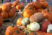 Mr. Jack O’ Lanterns Pumpkin Patch Offers Halloween fun with VIP or General Pass On Weekdays (Up to 44% Off) - Second Medium