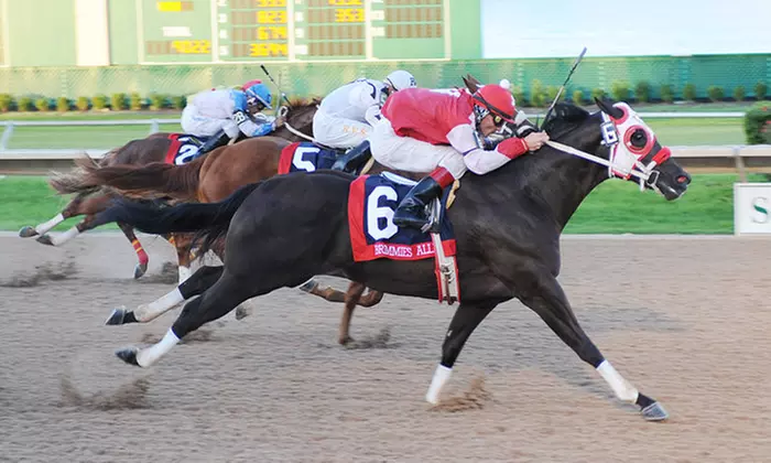 Racing Event for Four or Private Suite for Up to 20 People at Sam Houston Race Park (Up to 51% Off) - Primary Image