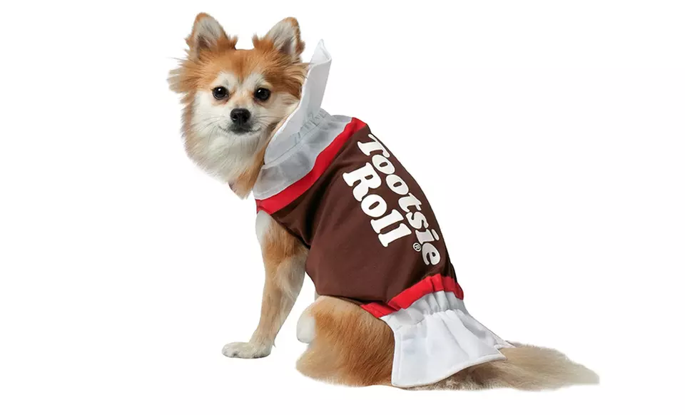 Food-Themed Halloween Costumes for Dogs from $9.99–$21.99 - Second Medium
