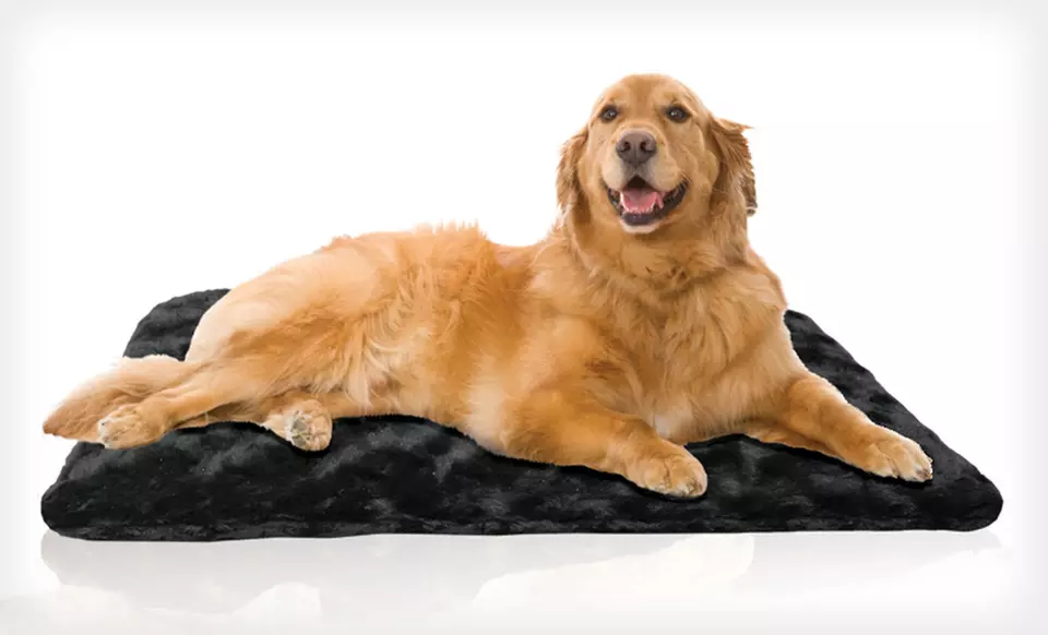 Orthopedic Foam Pet Mats (Up to 44% Off). 12 Options Available. Free Shipping on Purchases Over $15. Free Returns. - Primary Image
