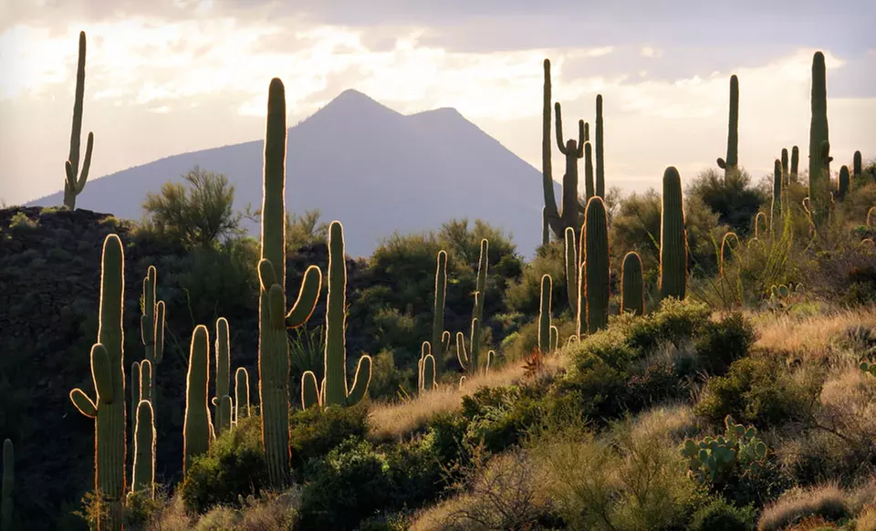 Stay with at Fairfield Inn Marriott Scottsdale North in Scottsdale, AZ. Dates Available into September. - Second Medium