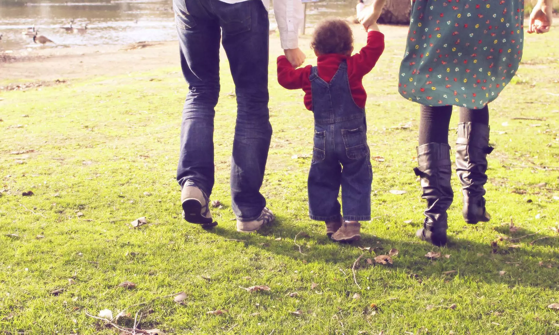 Digital Photography Packages from Almond Tree Photography (Up to 71% Off). Three Options Available - Primary Image