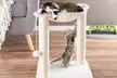 PETMAKER Cat Scratching Posts with Hanging Toy  - Second Medium