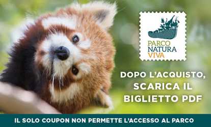 SCARICA COUPON MODATOUR