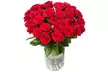 Premium Farm Fresh Roses from It's By U (Up to 42% Off) - Image 5