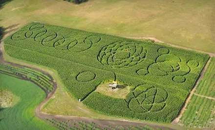 Visit for Two Adults or Two Adults and Three Kids on a Weekday or Weekend to McNab's Corn Maze (Up to 52% Off)  - Primary Image