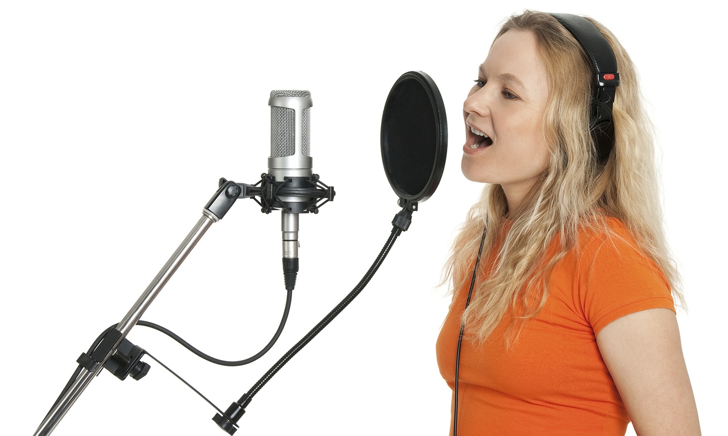 Online Introductory 30 minute Singing Courses for All Levels