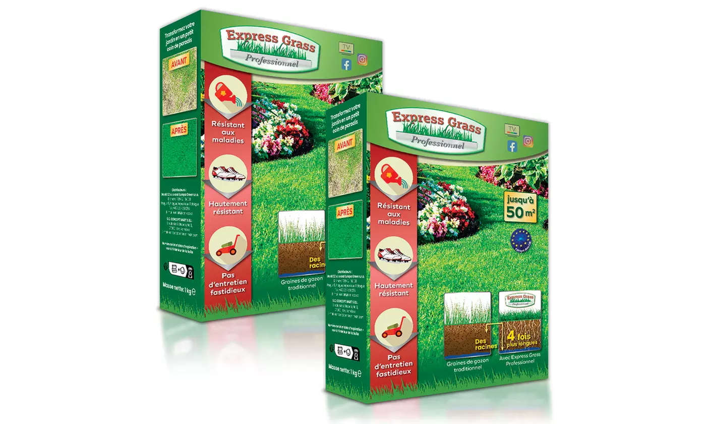 Graines de gazon express traditionnel