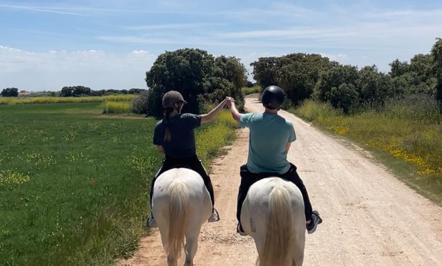 Image 4: Ruta de 1 hora a caballo para hasta 4 personas con opción a iniciación