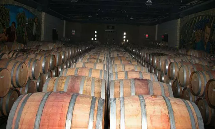 Estate Tour and Wine Tasting for Two, Four, or Six at Colio Estate Winery (Up to 58% Off) - Primary Image