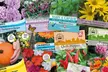 Mixed Flower and Vegetable Lucky Dip Seed Bumper Bundle - 50 or 100 Packs - Second Medium