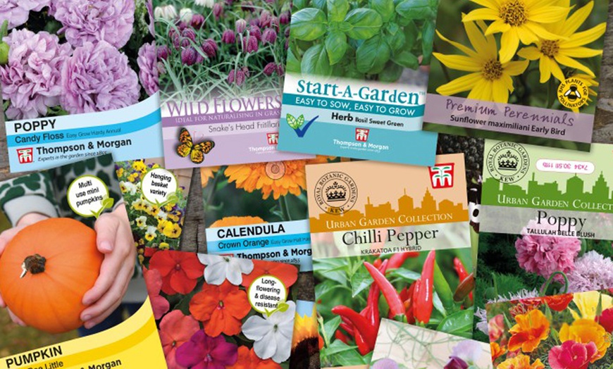 Image 4: Mixed Flower and Vegetable Lucky Dip Seed Bumper Bundle