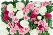 $300 for Flower Wall Hire from One Events Pty Ltd (Up to $600 Value) - Image 2