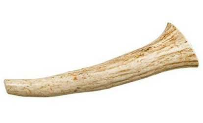 Solid Antlers for Dogs 