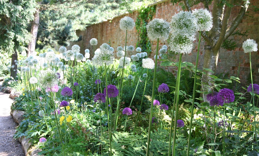 Image 8: Batsford Arboretum Entry
