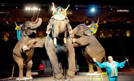 $17 to See the Alzafar Shrine Circus at the Freeman Coliseum on September 6, 7, 8, or 9 (Up to $34.85 Value) - Primary Image