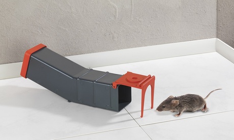 1 o 3 trappole per topi Wenko ribaltabile