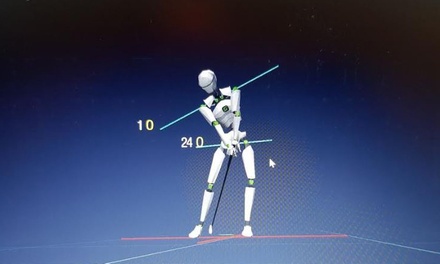 One person, Xgolf Trueman’s Road Golf Range: 90-minute MySwing 3D lesson