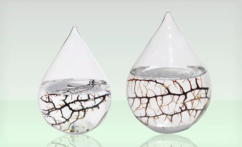 Small or Large Waterdrop EcoSphere (37% Off). Free Shipping and Returns. - Primary Image