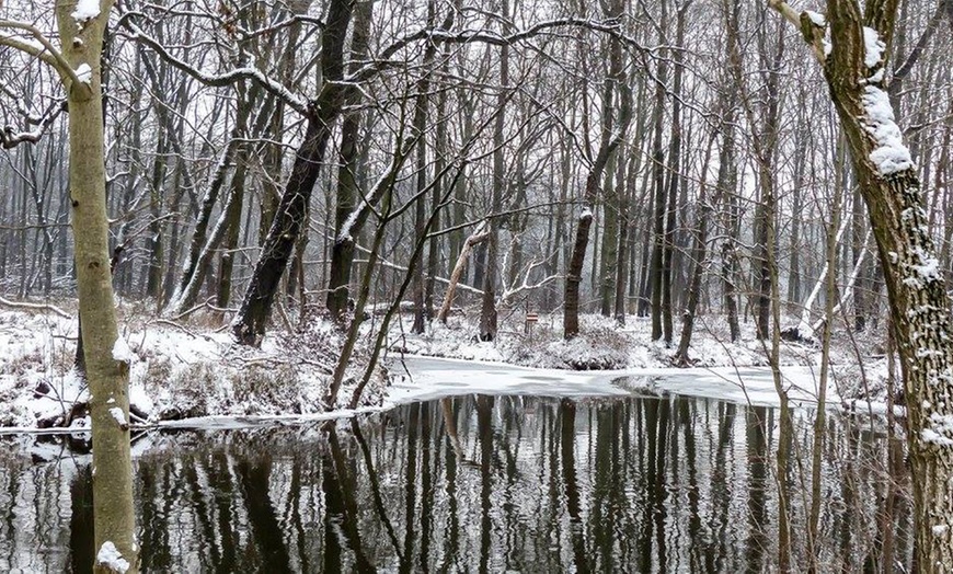 Image 17: 3-4 Tage im Spreewald inkl. Menü, Wellness & optional Therme