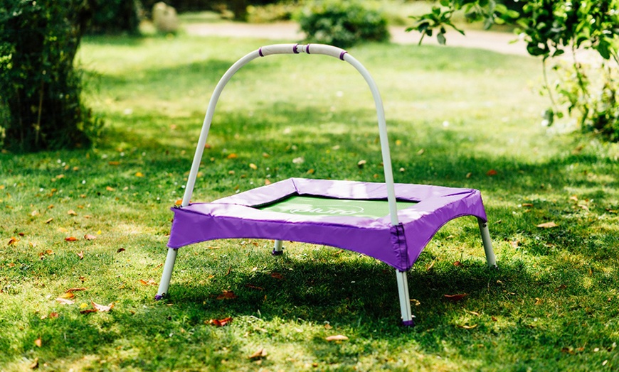 Image 3: Plum Trampolines