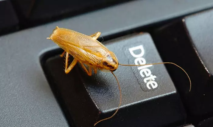 $17 for an Exterior Home Pest-Control Treatment from Off the Wall Pest Services ($80 Value) - Primary Image