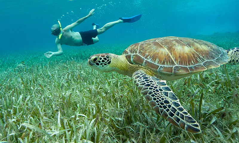 3-, 4-, or 5-Night Belize Vacation with Snorkeling Excursion from Hotel TROT - Primary Image