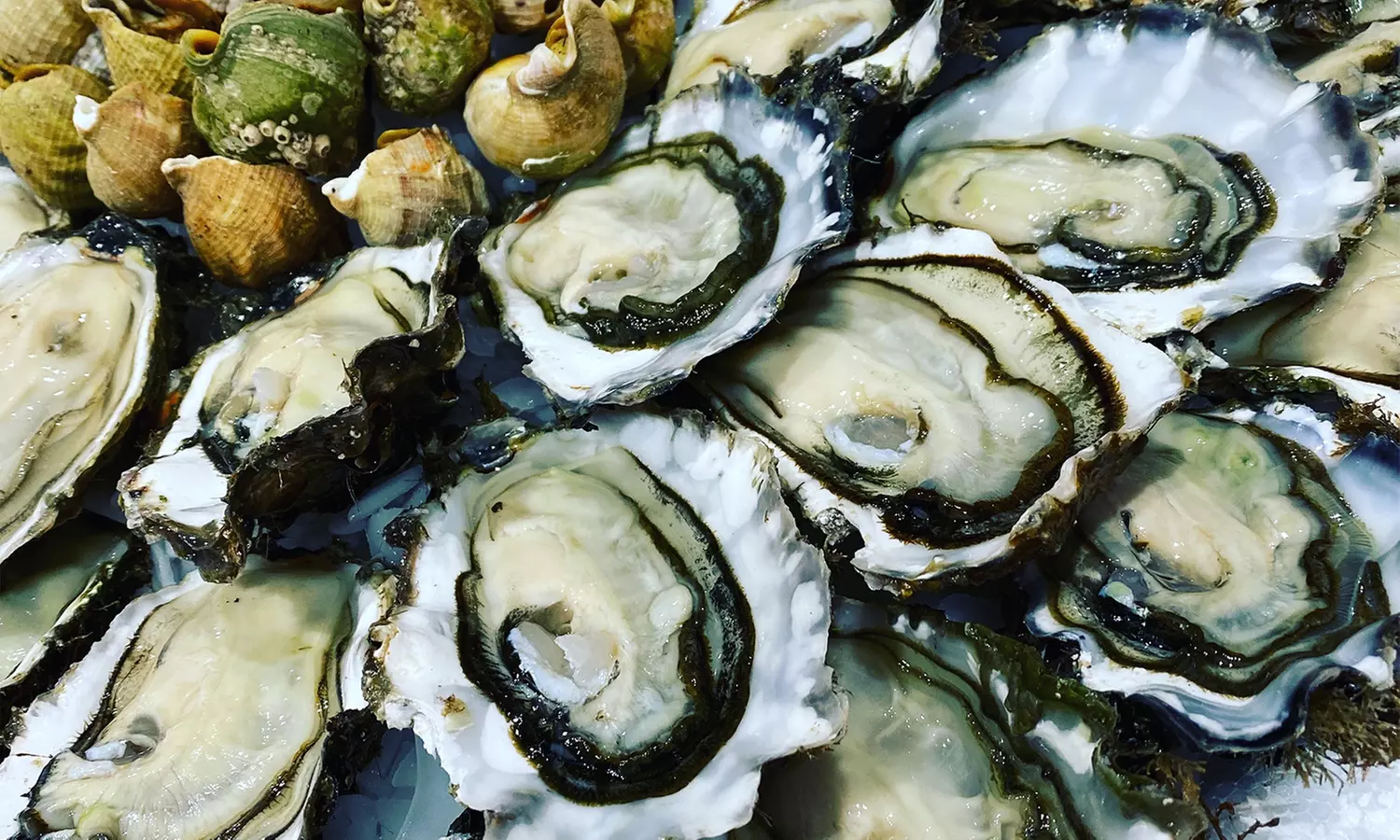 Jusqu'à 26% de remise sur Poisson et fruits de mer chez Coquillage Henry