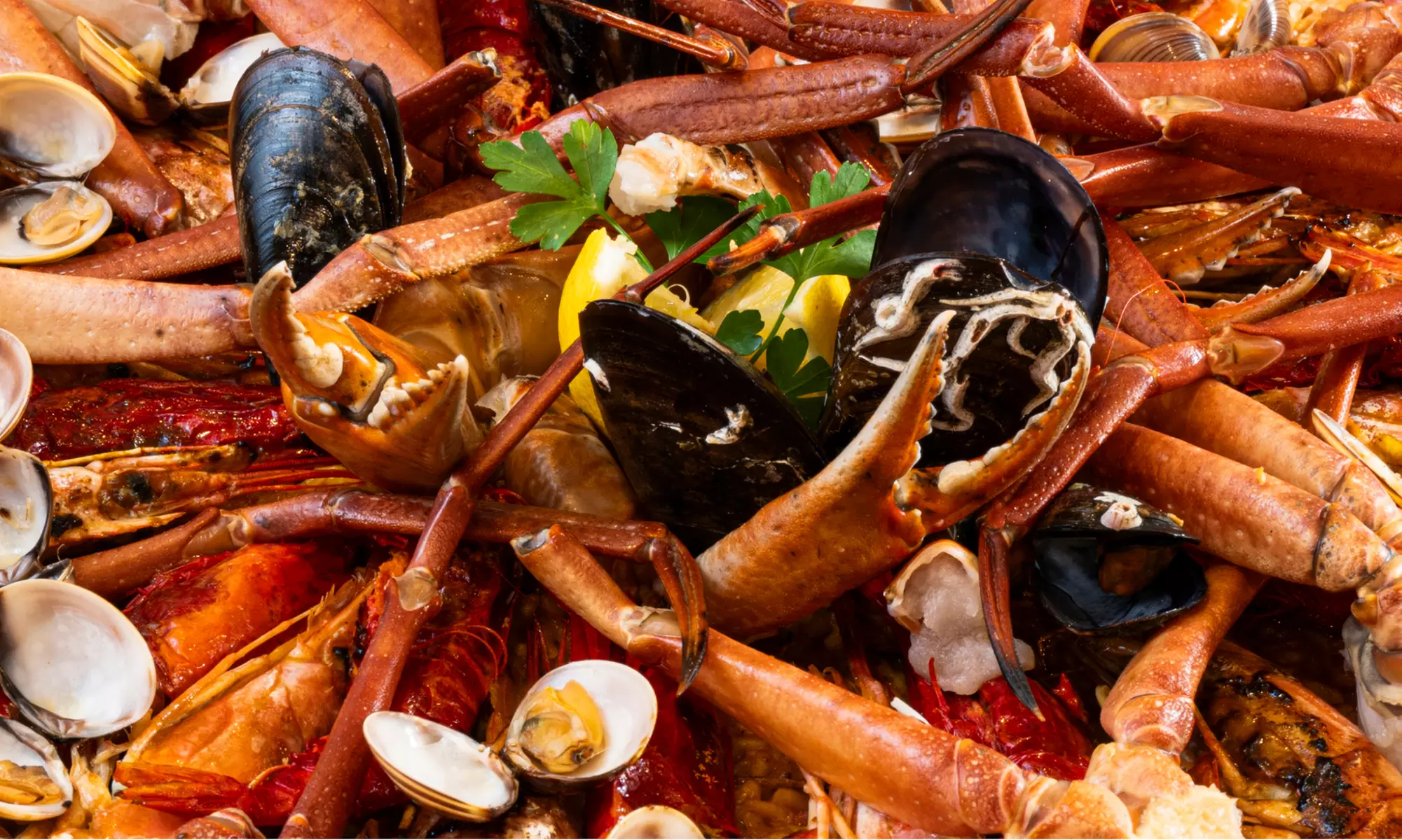 Hasta 61% de descuento en Luca Daddezio Photography Studio